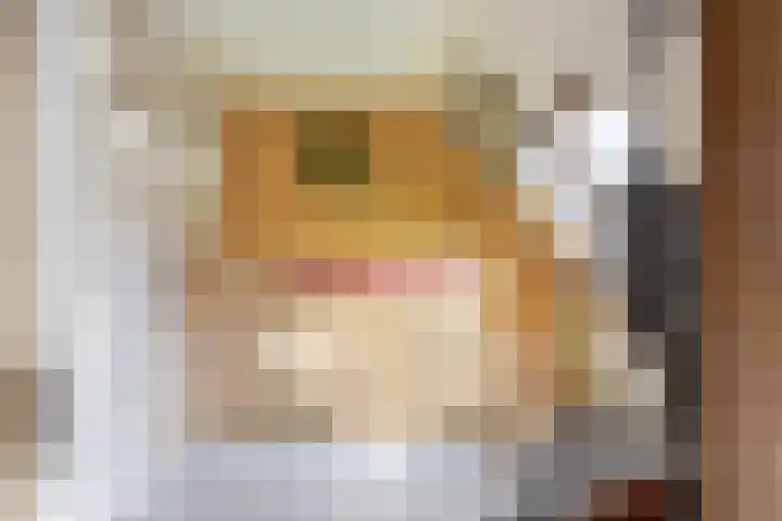 Boekweitakker 19 Pijnacker thumbnail 23