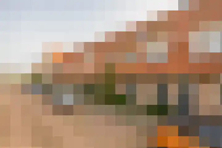 Boekweitakker 19 Pijnacker thumbnail 27