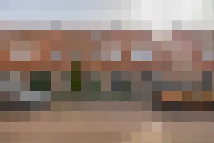 Boekweitakker 19 Pijnacker thumbnail 29