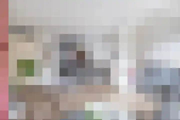 Boekweitakker 19 Pijnacker thumbnail 6