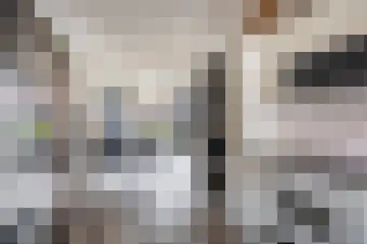 Boekweitakker 19 Pijnacker thumbnail 9