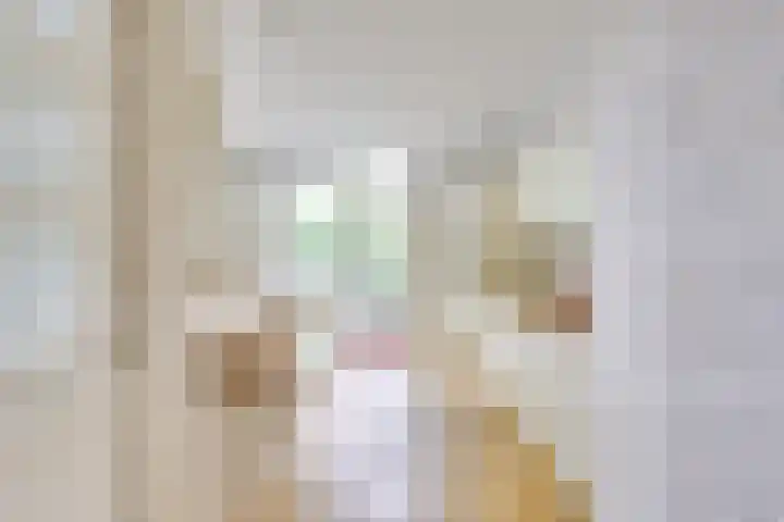 Boekweitakker 2 Doorn thumbnail 15