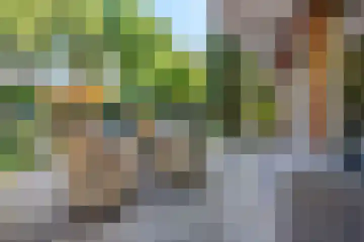 Boekweitakker 2 Doorn thumbnail 19