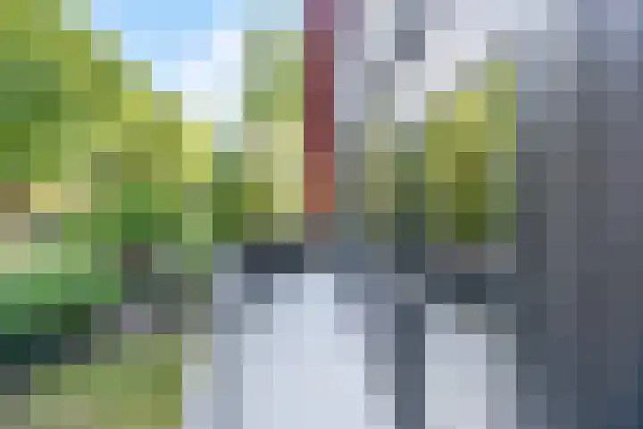 Boekweitakker 2 Doorn thumbnail 27