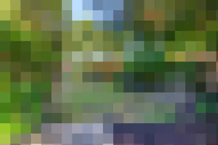 Boekweitakker 2 Doorn thumbnail 42