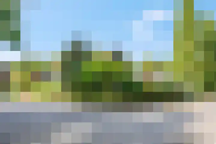 Boekweitakker 2 Doorn thumbnail 45