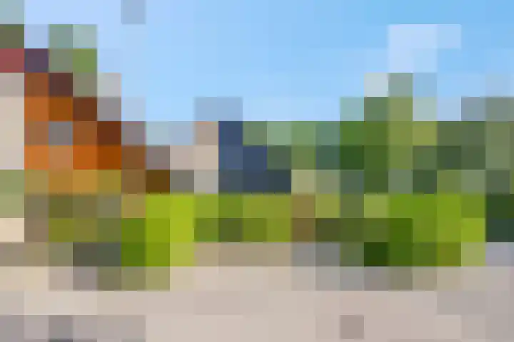Boekweitakker 2 Doorn thumbnail 47