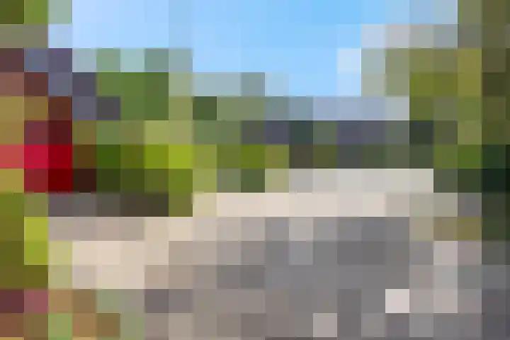 Boekweitakker 2 Doorn thumbnail 48