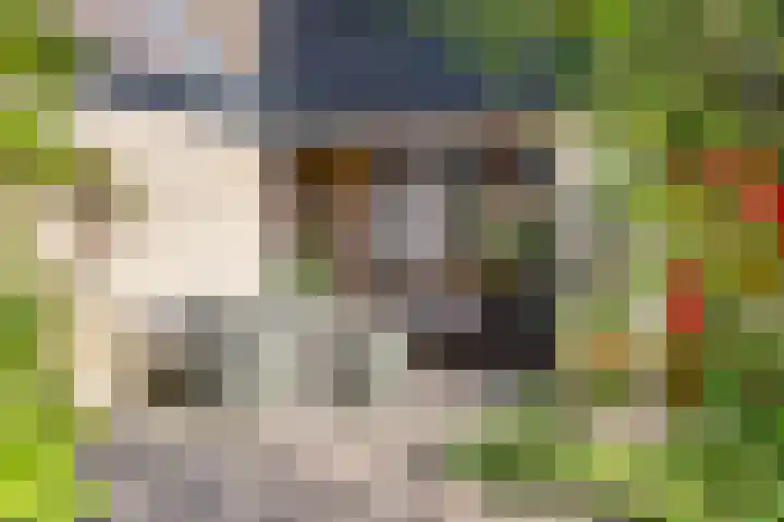 Boekweitakker 2 Doorn thumbnail 5