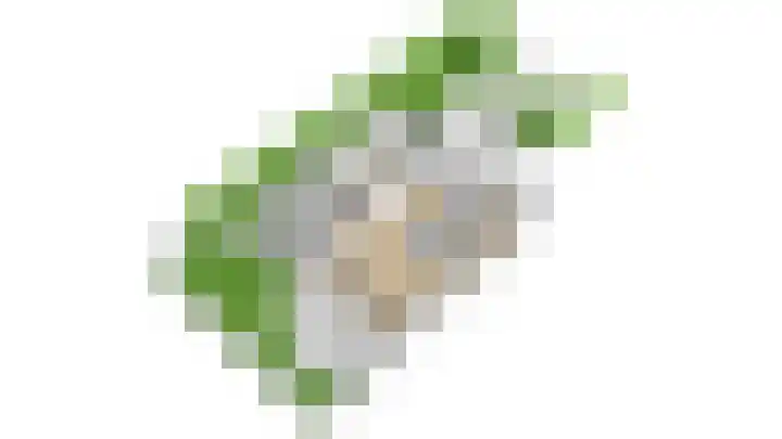 Boekweitakker 2 Doorn thumbnail 64