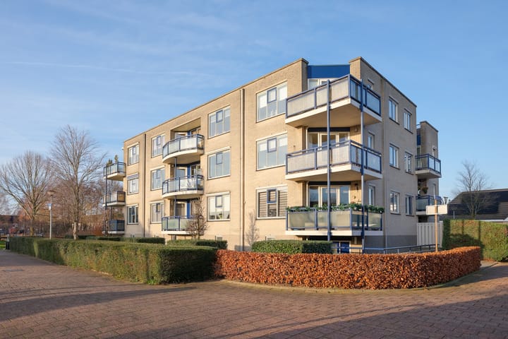 Boekweitakker 24 in Barneveld foto