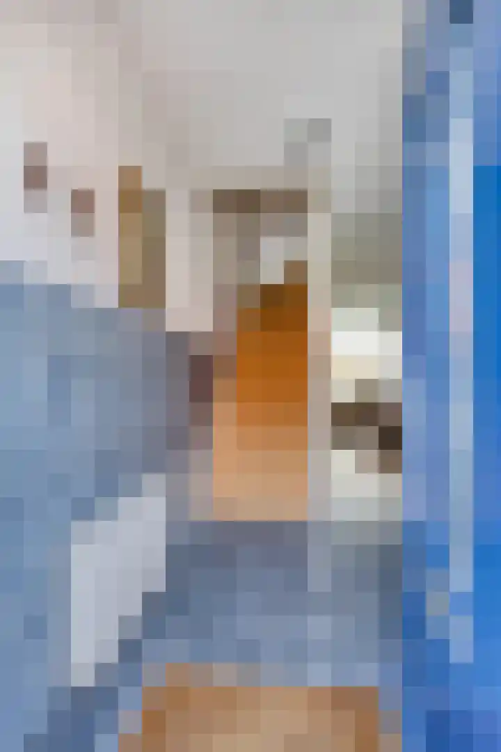 Boekweitakker 7 Pijnacker thumbnail 10