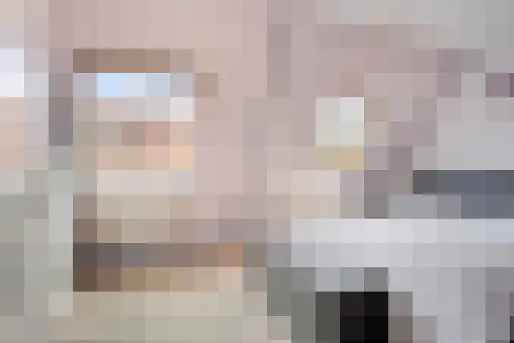 Boekweitakker 7 Pijnacker thumbnail 14