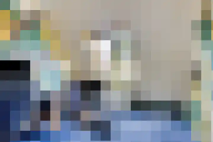 Boekweitakker 7 Pijnacker thumbnail 20