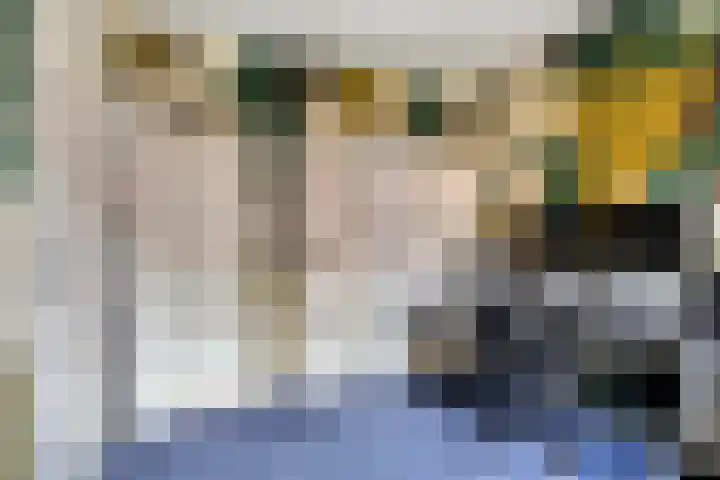 Boekweitakker 7 Pijnacker thumbnail 21