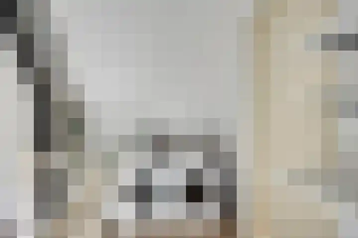 Boekweitakker 7 Pijnacker thumbnail 23