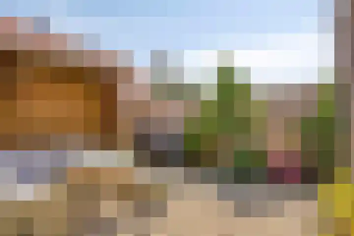 Boekweitakker 7 Pijnacker thumbnail 26