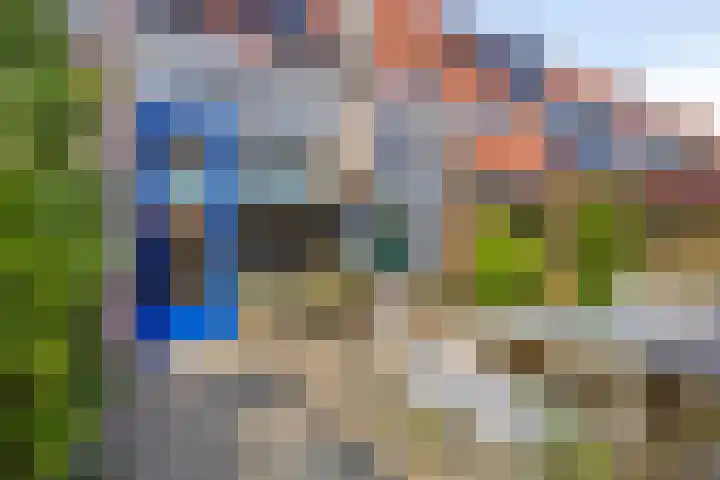 Boekweitakker 7 Pijnacker thumbnail 27