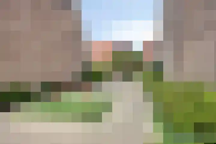 Boekweitakker 7 Pijnacker thumbnail 29