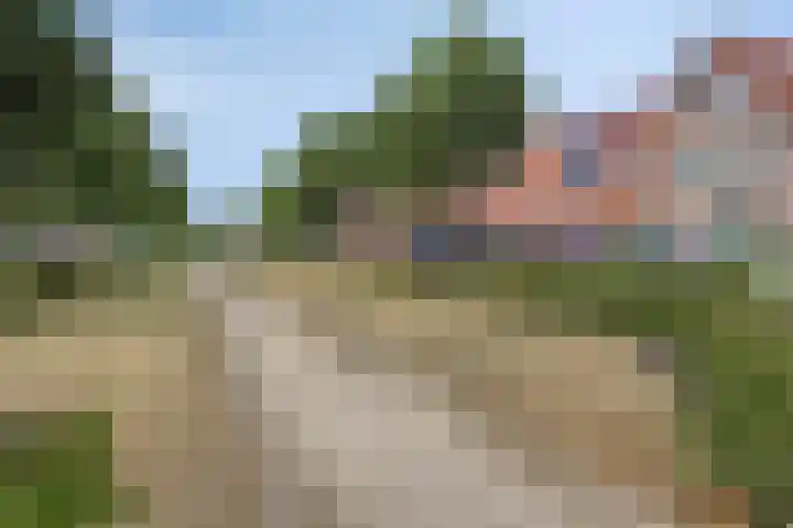 Boekweitakker 7 Pijnacker thumbnail 30