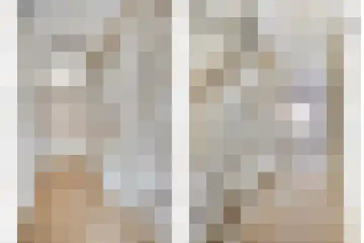 Boekweitakker 7 Pijnacker thumbnail 34