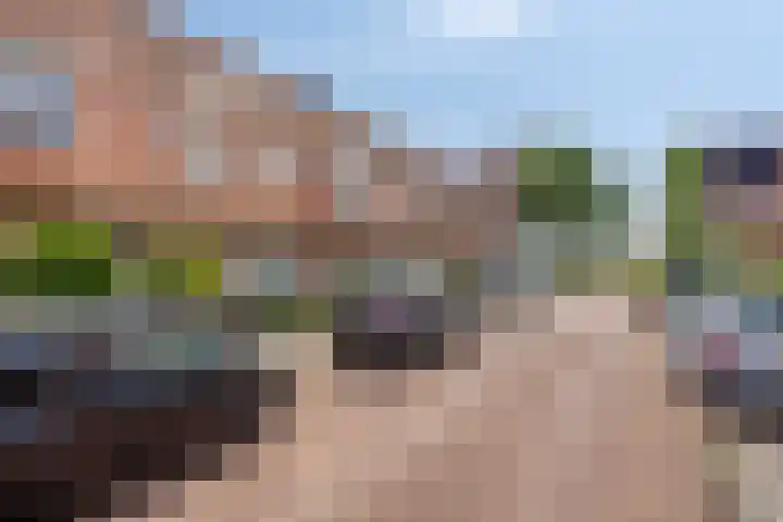 Boekweitakker 7 Pijnacker thumbnail 36