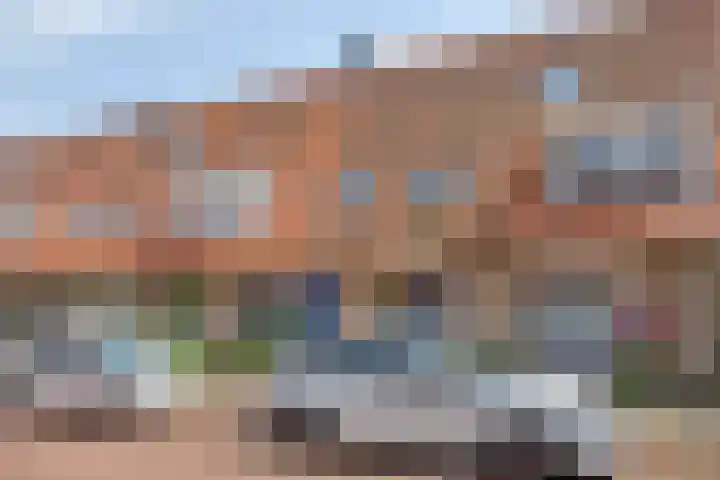 Boekweitakker 7 Pijnacker thumbnail 37