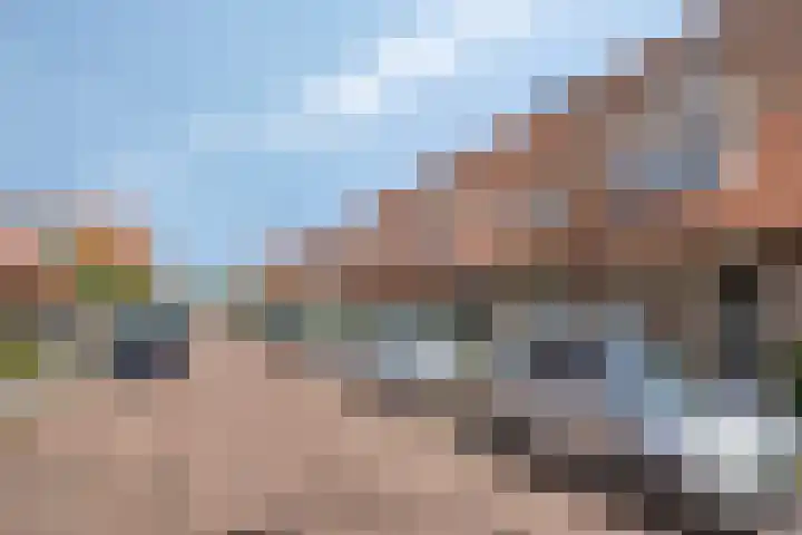 Boekweitakker 7 Pijnacker thumbnail 38