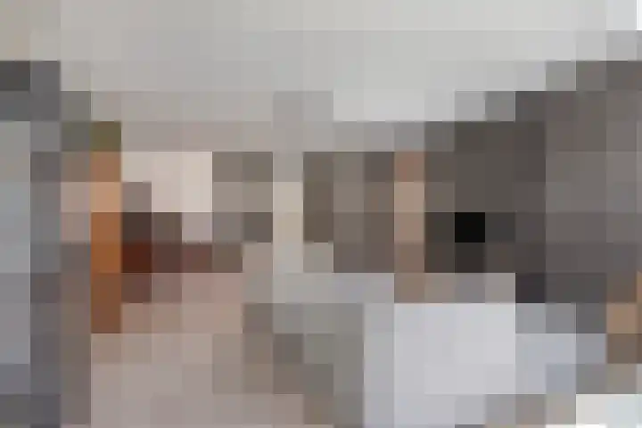 Boekweitakker 7 Pijnacker thumbnail 5