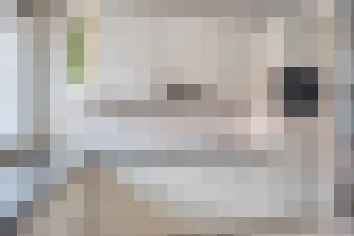 Boekweitakker 7 Pijnacker thumbnail 7