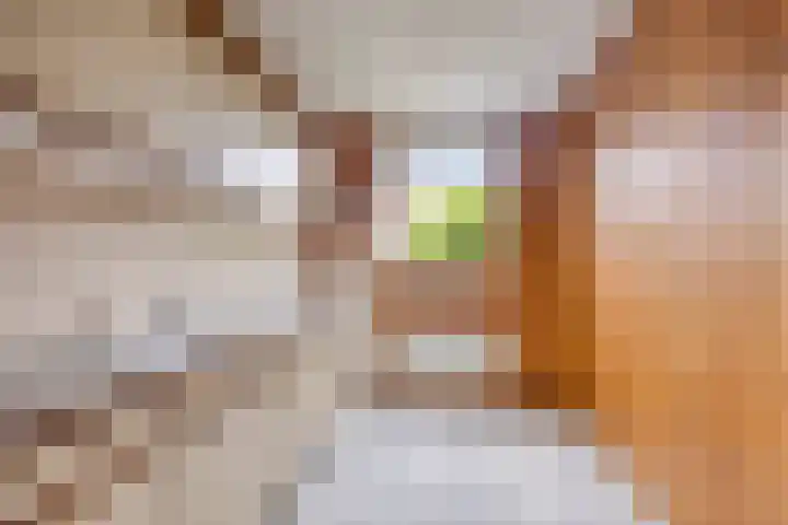 Boekweitdreef 204 Doetinchem thumbnail 13