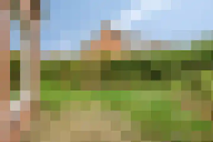 Boekweitdreef 204 Doetinchem thumbnail 30