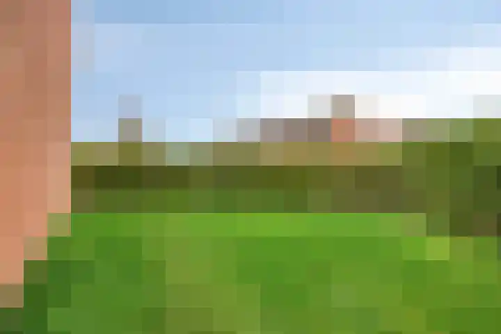 Boekweitdreef 204 Doetinchem thumbnail 33