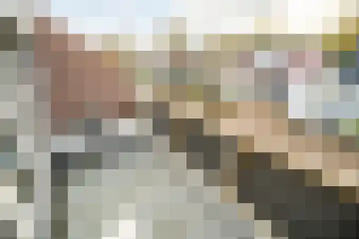 Boekweitkamp 23 Leiderdorp thumbnail 12