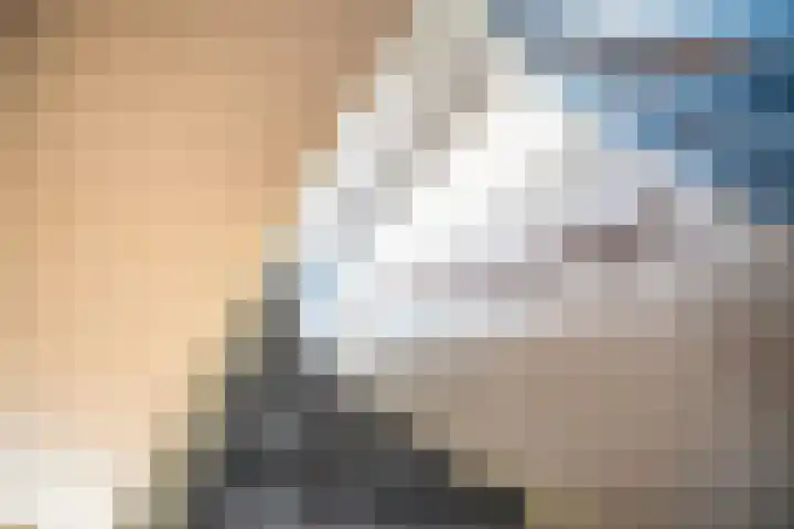 Boekweitkamp 23 Leiderdorp thumbnail 18