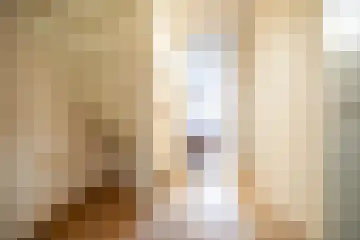 Boekweitkamp 23 Leiderdorp thumbnail 29