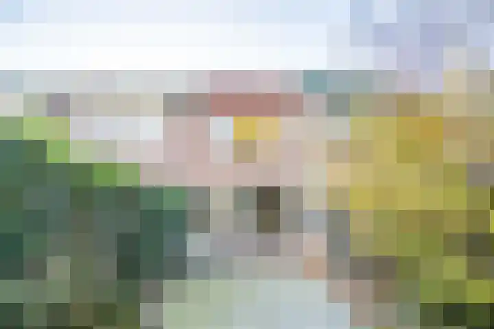 Boekweitkamp 23 Leiderdorp thumbnail 38