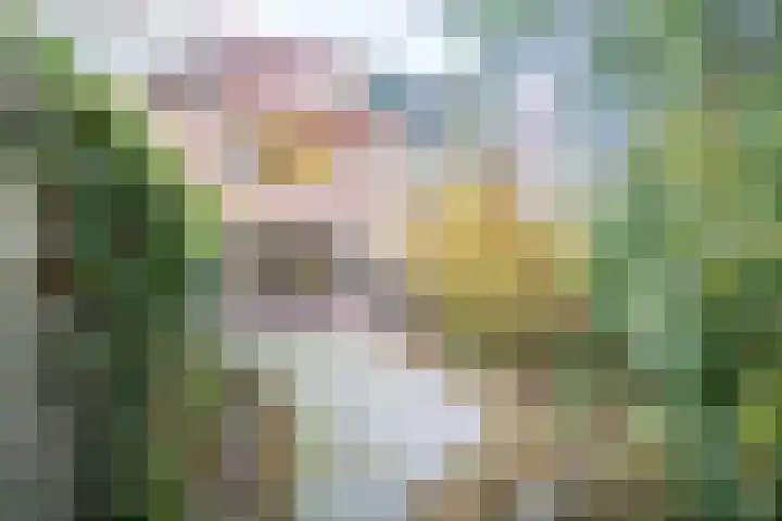 Boekweitkamp 23 Leiderdorp thumbnail 4