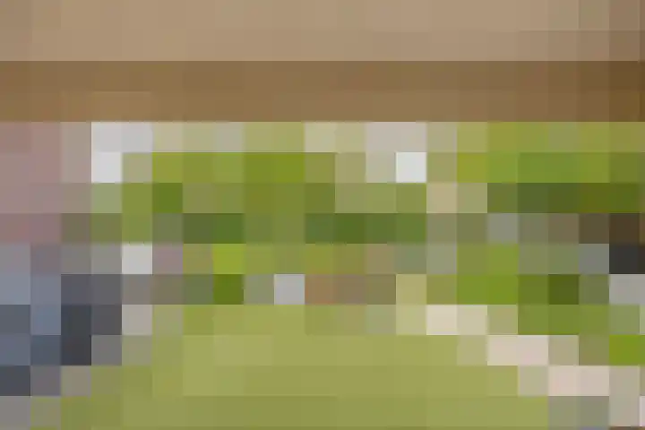 Boekweitkamp 23 Leiderdorp thumbnail 42