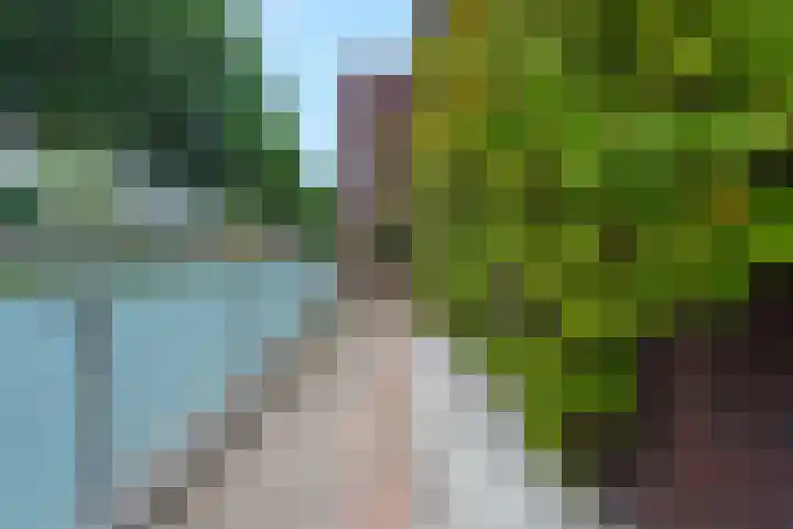 Boekweitkamp 23 Leiderdorp thumbnail 43