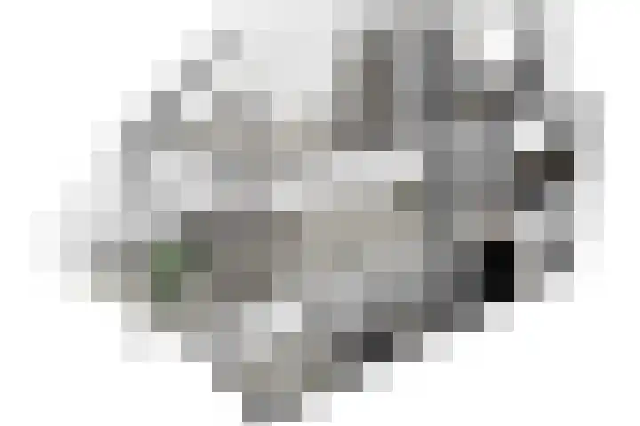 Boekweitkamp 23 Leiderdorp thumbnail 43