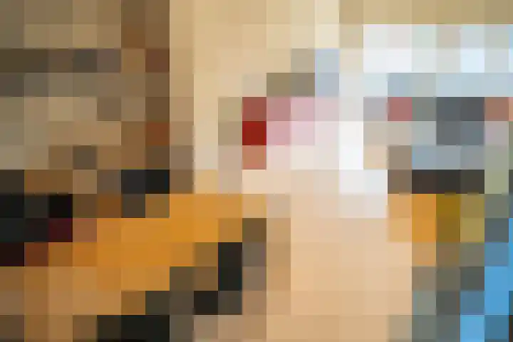 Boekweitkamp 23 Leiderdorp thumbnail 5