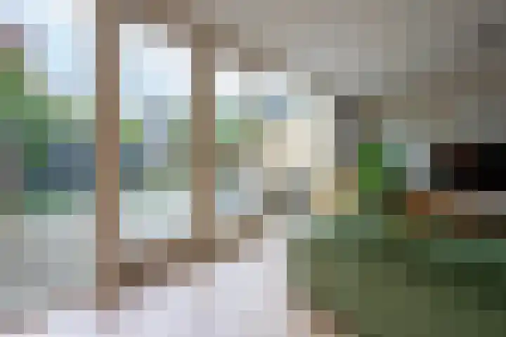 Boekweitland 12 Leusden thumbnail 15
