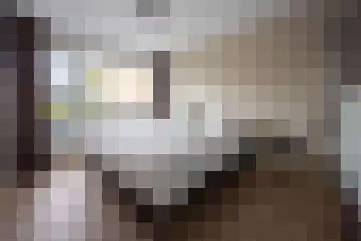 Boekweitland 12 Leusden thumbnail 20