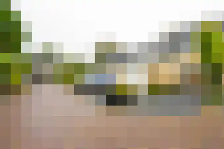 Boekweitland 12 Leusden thumbnail 35