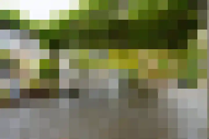 Boekweitland 12 Leusden thumbnail 36