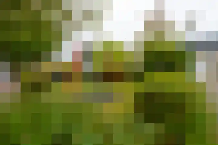 Boekweitland 12 Leusden thumbnail 39