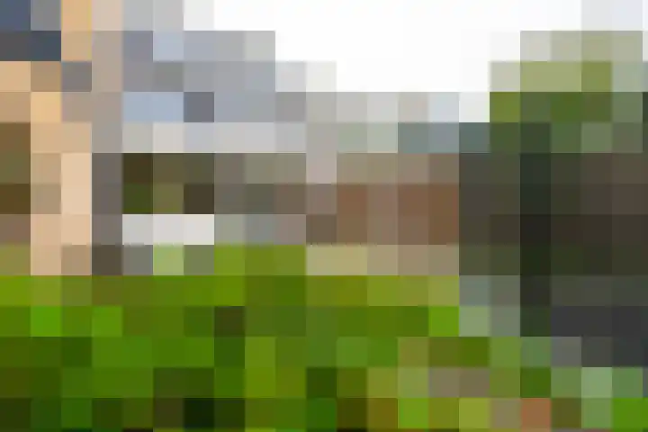 Boekweitland 12 Leusden thumbnail 5