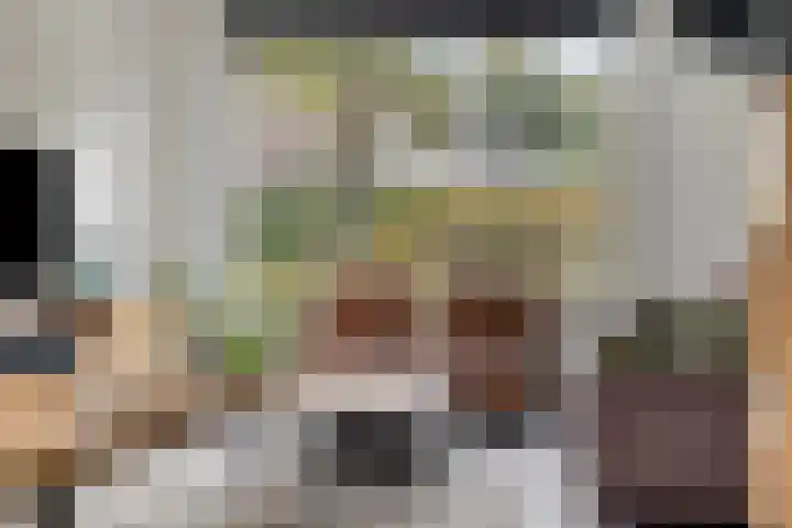 Boekweitstraat 10 Maarheeze thumbnail 13