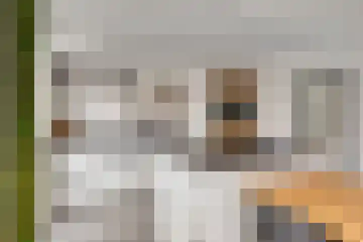 Boekweitstraat 10 Maarheeze thumbnail 19